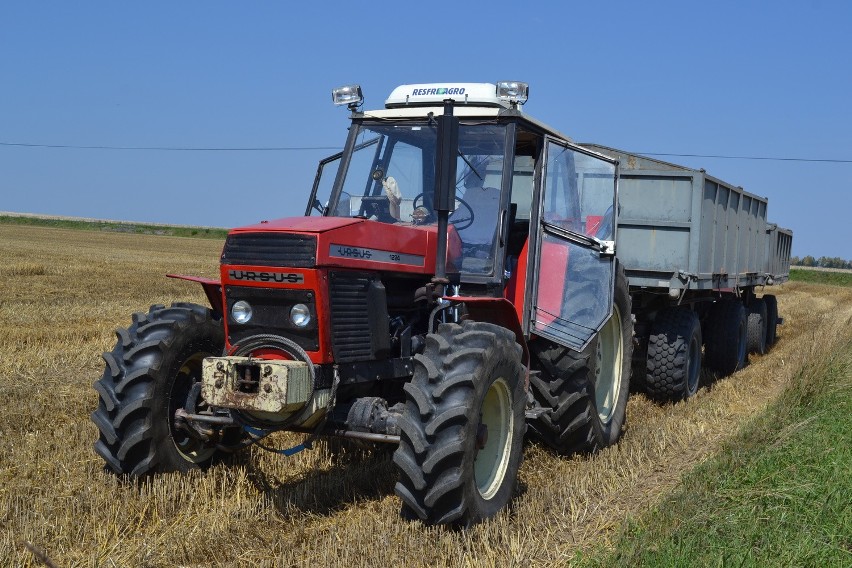 Żniwa w powiecie kłobuckim