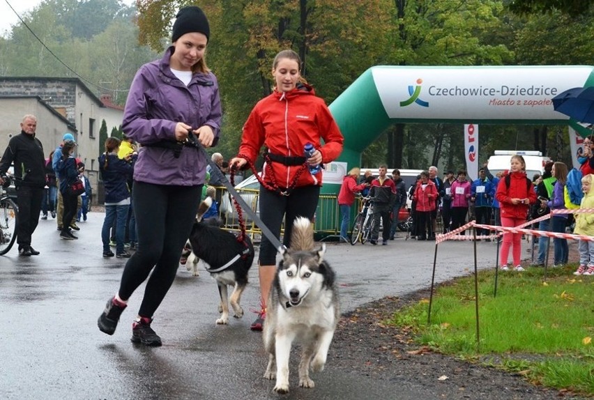 Bieg Koroną Jeziora Goczałkowickiego 2015 w Zabrzegu