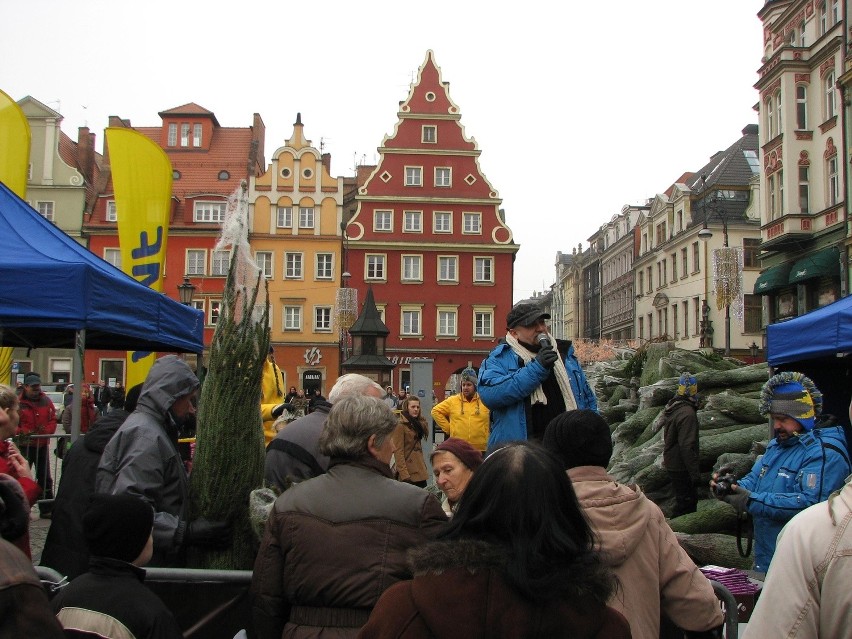 Wrocław, darmowe choinki na placu Solnym