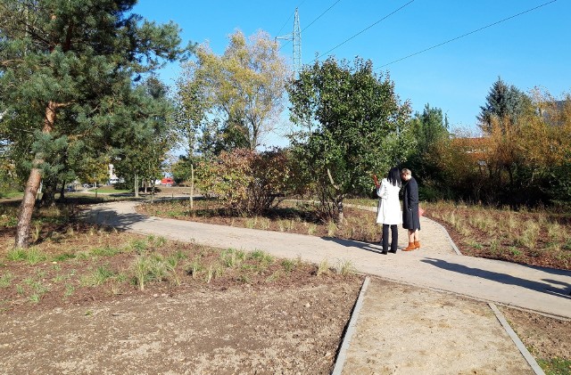 Trwają prace końcowe przy budowie Parku Zachodniego w Słupsku, który powstaje w ramach projektu "Kliny Zieleni".Park Zachodni to 3-hektarowa  przestrzeń, którą  wyodrębniono  w ramach zagospodarowywania terenu miejskiego przy ul. Marii Zaborowskiej. Ma stanowić  miejsce wypoczynkowo- rekreacyjne dla mieszkańców nowego Słupska, którzy mieszkają lub będą mieszkać   w nowych budynkach wznoszonych na zachód od ulicy Zaborowskiej, gdzie już od kilku lat powstaje nowe osiedle dla co najmniej 3 tysięcy ludzi.  Północna część parku będzie miała charakter naturalnego ogrodu krajobrazowego. Część południowa – tzw. serce parku, ma  być terenem rekreacyjnym, dostosowanym do potrzeb różnych grup użytkowników. O szczegółach  mówiono podczas konferencji prasowej  prezydent Słupska i jej współpracowników. Ich wypowiedzi zanotowaliśmy na dołączonym filmie.