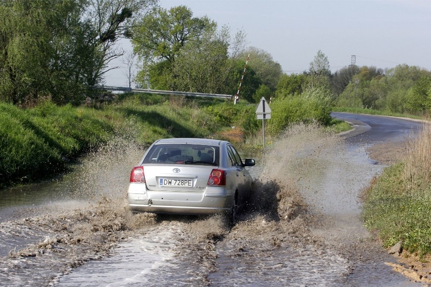 W 2011 roku Widawa przerwała wał. Sytuacja groziła zalaniem...