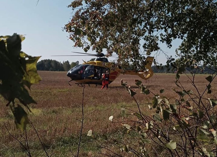 Litwinowicze. Wypadek podczas prac leśnych. Mężczyzna zranił się piłą motorową. Śmigłowiec przetransportował go do szpitala [ZDJĘCIA]