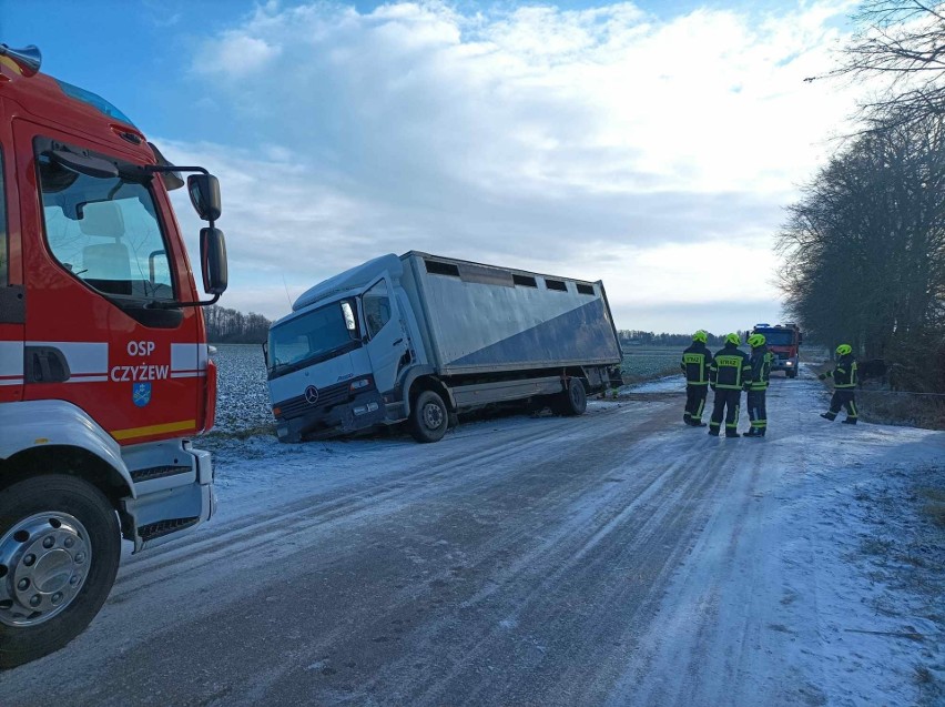 Kutyłowo-Perysie. Zderzenie z udziałem 2 aut. Strażacy musieli ewakuować bydło z ciężarówki 27.11.2023