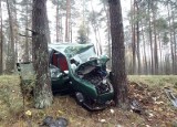 Wypadek śmiertelny. Kierowca uderzył w drzewo, zginął na miejscu (zdjęcia)