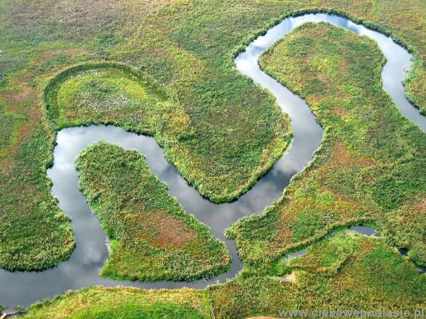 Za Narew - ta rzeka to jeden z symboli Ostrołęki i Kurpi.