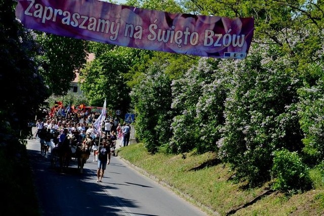 Święto Bzów w Siedlisku.