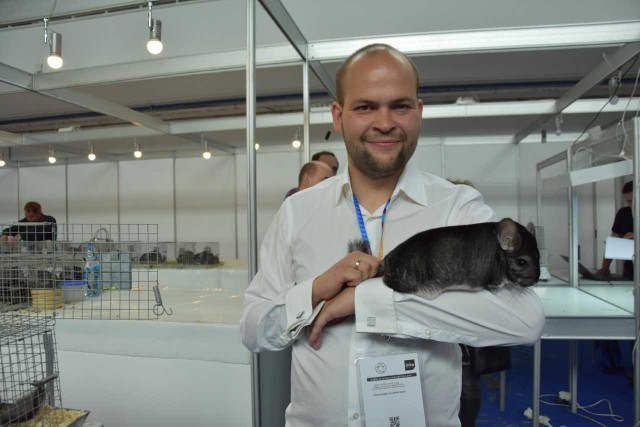 W Poznaniu spotkaliśmy reprezentantów Kujawsko-Pomorskiego. Wśród osób, które stawiły się pierwszego dnia na Narodowej Wystawie Zwierząt Hodowlanych był Jakub Janiszewski, hodowca szynszyli z Torunia, któremu towarzyszył ojciec - Jacek Janiszewski, minister rolnictwa i gospodarki żywnościowej w rządzie Jerzego Buzka.Przypomnijmy, że w halach Międzynarodowych Targów Poznańskich zwierzęta można oglądać do 19 maja 2019. Narodowej wystawie towarzyszy największa w historii Wystawa Ras Rodzimych. Najpiękniejsze zwierzęta na wystawie narodowej. Także z Kujawsko-Pomorskiego! ZDJĘCIA