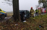 Czołowe uderzenie w drzewo. Kierująca fordem trafiła do szpitala 