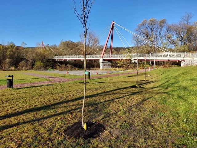 Park nad Rabą w Pcimiu. Tu w sobotę obędzie się akcja "Wiosenne porządki"