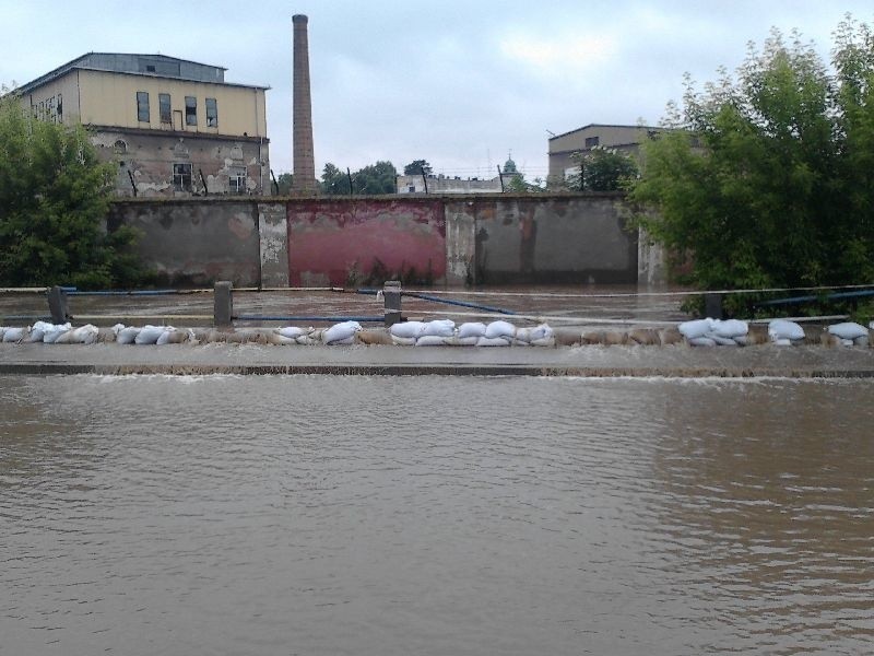 Małoszówka wylewająca się w Kazimierzy Wielkiej .