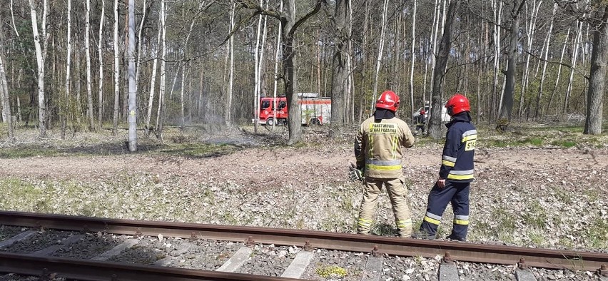 Awaryjne lądowanie wiatrakowca w Toruniu