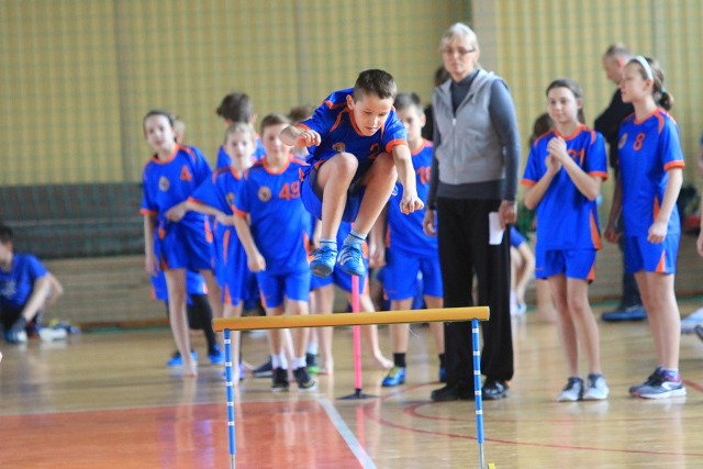 Ruszyła walka o wielki finał Sprawnego Misia. To rywalizacja sportowa szkół podstawowych w Toruniu, na placu boju zostało dziewięć najmocniejszych reprezentacji, które walczą o pięć miejsc w miejskim finale (2 marca w Arenie Toruń). W pierwszym turnieju finałowym bezkonkurencyjni okazali się gospodarze z Szkoły Podstawowej 32. Dwie pozostałe drużyny stoczyły zaciętą walkę o 2. miejsce. Było o co się bić, bo także dwie z trzech ekip z tych miejsc także zakwalifikują się do finału. Ostatecznie SP 6 zgromadziła 24 punkty i o jeden wyprzedziła SP 9. W środę drugi półfinał: w hali SP 28 gospodarze zmierzą się z SP 14 i SP 18.