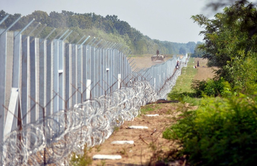 Gotowy płot na granicy serbsko-węgierskiej