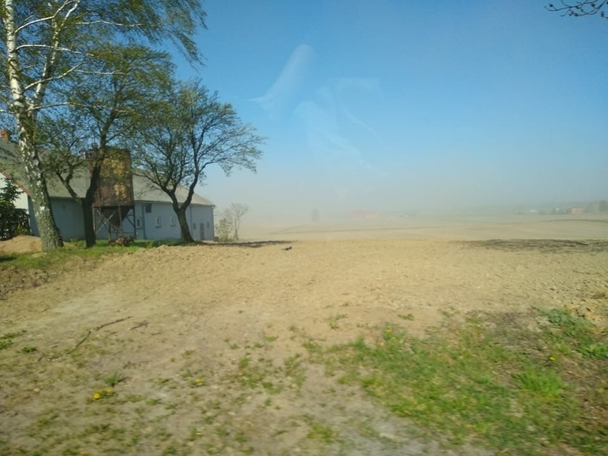 Burze piaskowe, susza - to nie Sahara, a polskie pole. Apel o ogłoszenie stanu klęski żywiołowej
