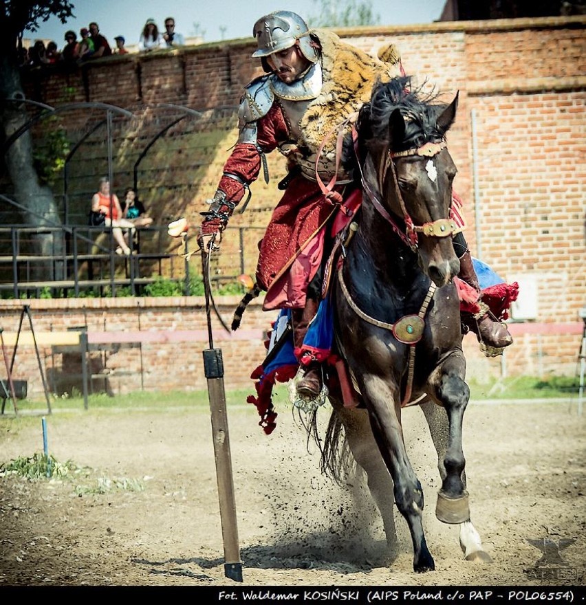 Vivat Vasa  - w Gniewie spotkają się miłośnicy żywej...