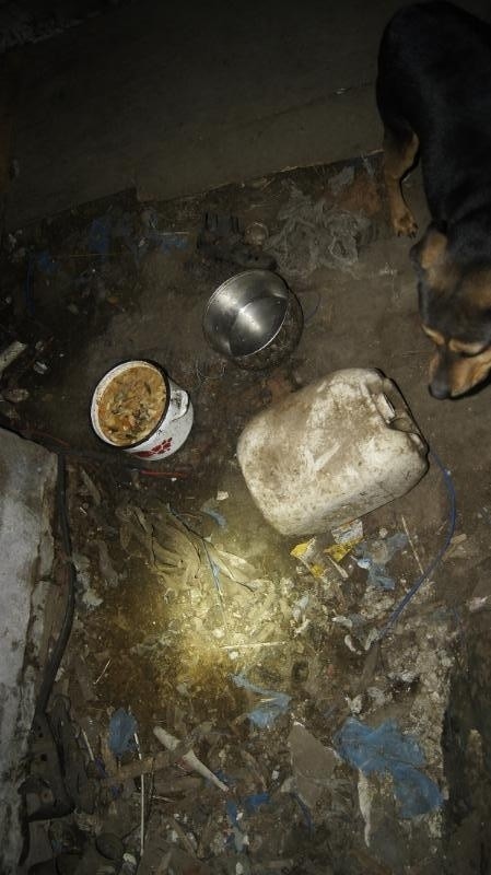 Pies zamknięty w piwnicy. Wokół pełno śmieci i psich odchodów! Zobacz jak trzymali zwierzę (ZDJĘCIA)