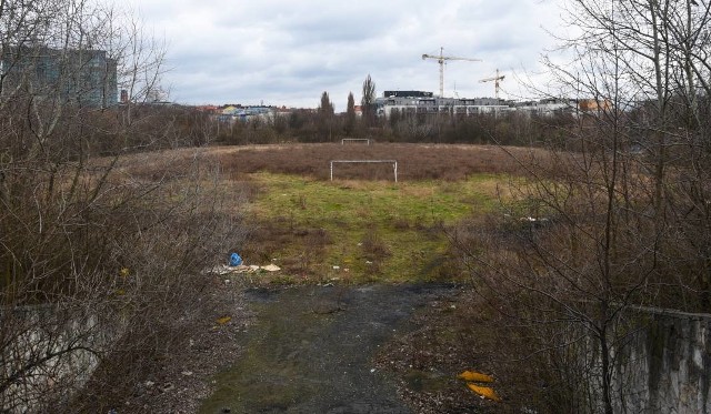 Tak od lat wygląda stadion Szyca, gdzie miałaby powstać hala.