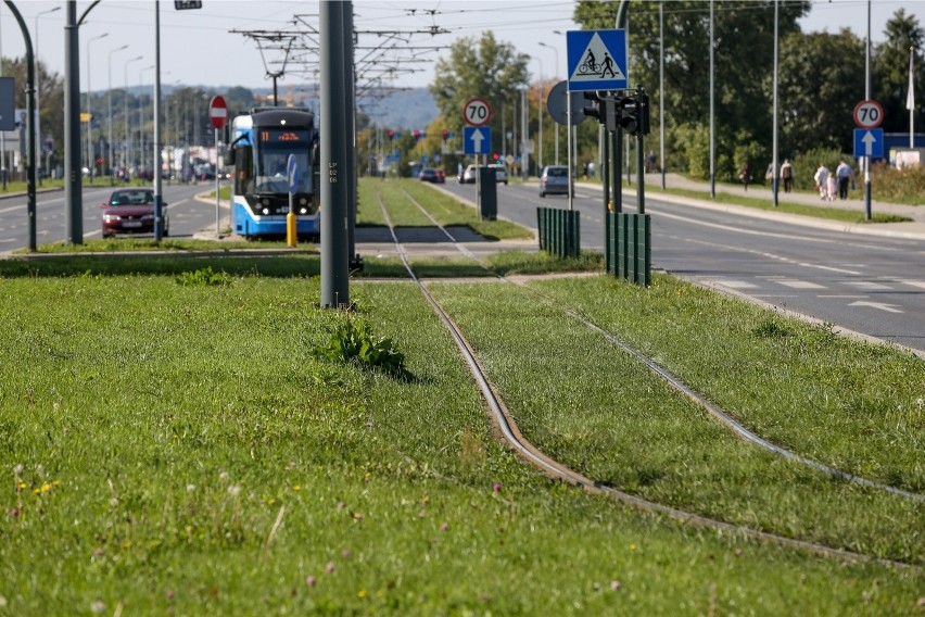 Kraków. Wielka rozbudowa na Rybitwach: nowa linia tramwajowa i dzielnica wieżowców