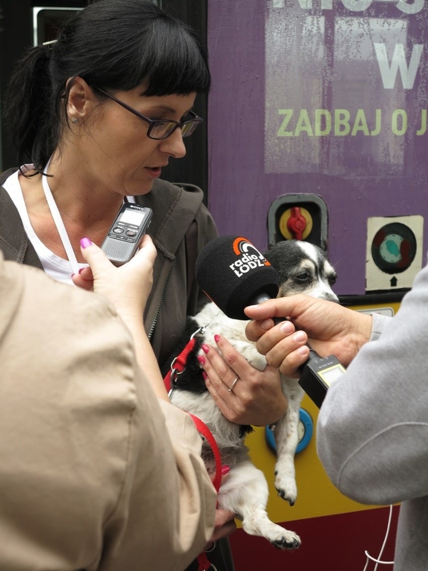Zaczipują za darmo psa i kota oraz innego pupila w czasie Międzynarodowych Targów Pet Fair w Hali Expo