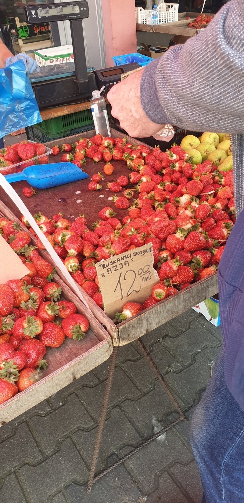 Kilogram truskawek za 12 złotych? Czemu nie. Taka cena na...