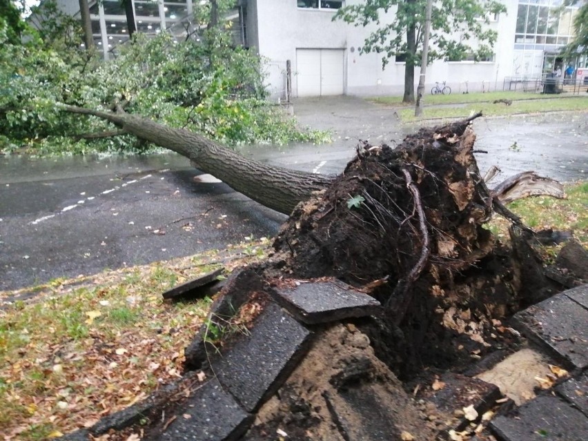 W środę ok. godz. 14.30 niebo w Łodzi przykryły ciemne...