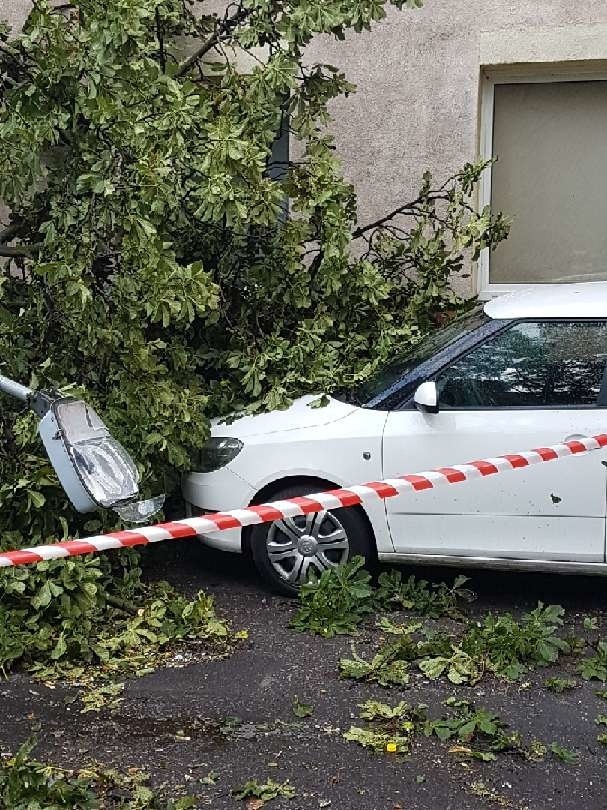 Zniszczenia po nocnej burzy w Lęborku. Drzewo przewróciło się na samochód.
