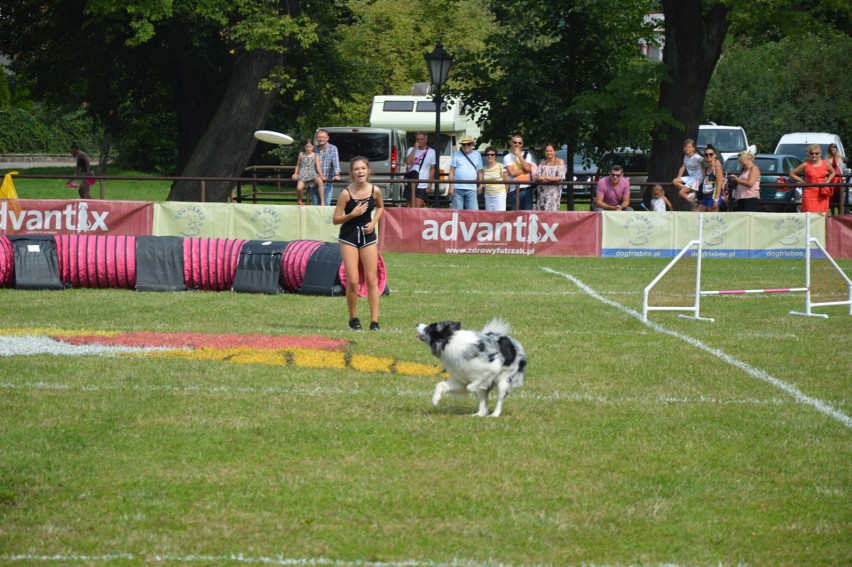 "Latające psy" 2018 w gdyńskim Parku Kolibki, czyli emocjonujące zawody w dogfrisbee