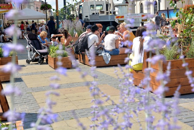 Plac Łokietka, podobnie jak inne ulice i place w cetrum, m.in. Lubartowska, pl. Wolności, jest ozdobiony kwiatami i krzewami