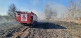 Burmistrz Kożuchowa przygasza strażaków z Mirocina Górnego