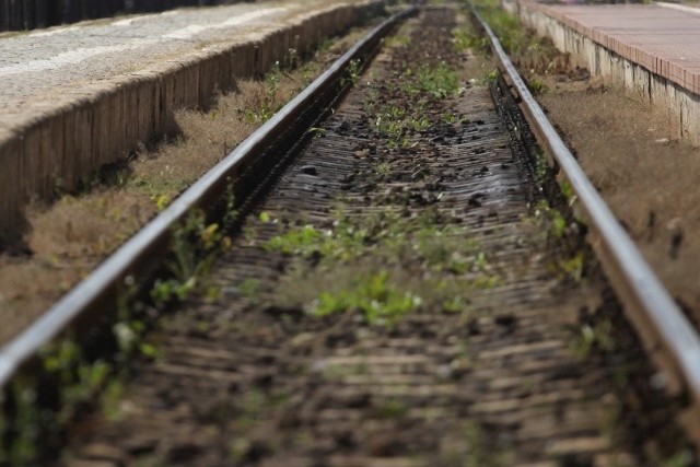 Intercity deklaruje, że dokładnie wyjaśni opisaną przez nas pomyłkę.