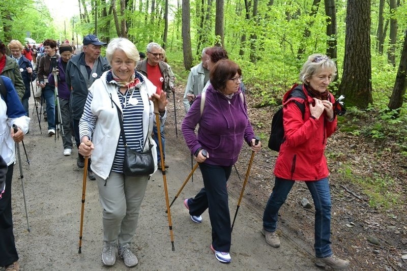 Bielsko-Biała: seniorzy włączyli się w ogólnopolski marsz UTW 2015 [ZDJĘCIA]