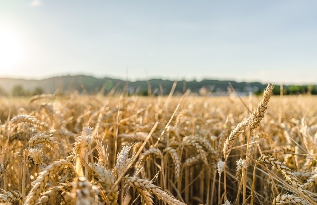 Czy zmiany proponowane przez UE zadowolą rolników?