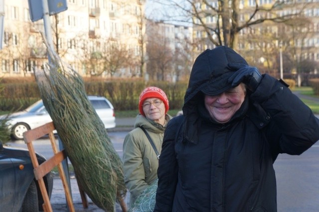 I wspólnie można zanieść wybraną choinkę do mieszkania.