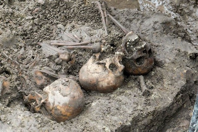 Wczoraj archeolodzy, tuż koło bloku przy ulicy Kopernika 19A badali trzy jamy. Natrafili w nich na kilkanaście szkieletów - dorosłych i dzieci. Badania będą kontynuowane do końca tygodnia.