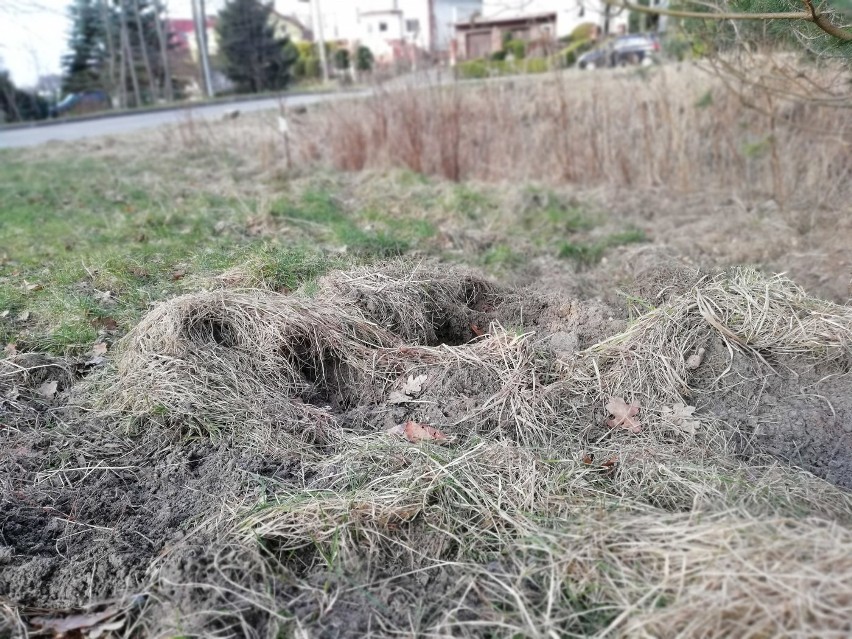 Rozkopane trawniki, przydomowe ogródki to na Rokosowie nic...