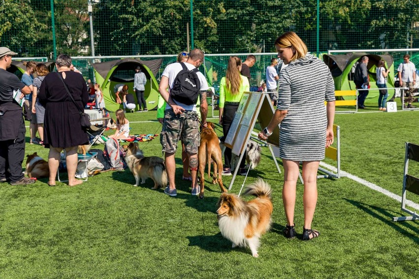 Białystok. XIII Międzynarodowa Wystawa Psów Rasowych. Bój na ringach o medale [ZDJĘCIA]