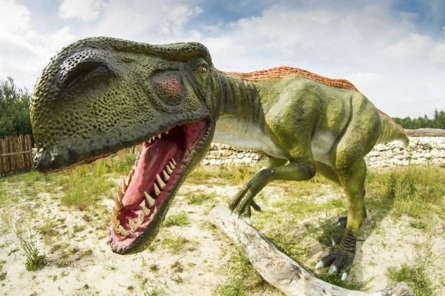 Sztuczne dinozaury i żywe zwierzęta - ośrodek wypoczynkowy w Wygodzie jest otwarty dla turystówOd dziś turyści mogą w Wygodzie zwiedzać między innymi park dinozaurów.