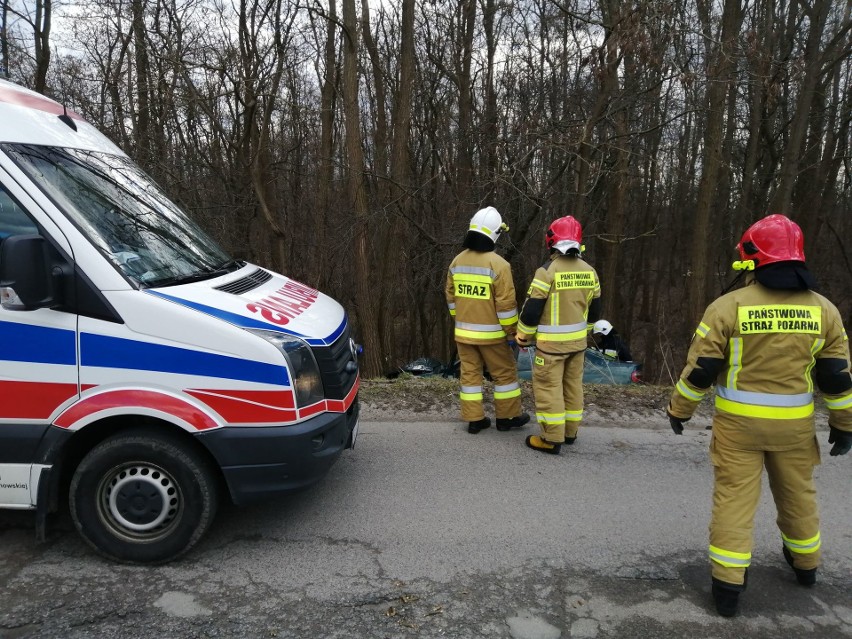Wypadek w Dąbrowicy. Auto wypadło z drogi, kobieta została ranna (ZDJĘCIA)