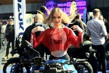 Lśniące motocykle i piękne hostessy w Hali Ludowej. Ależ maszyny! (ZDJĘCIA, PROGRAM)