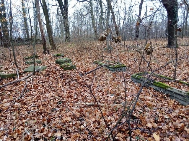 Zapomniane cmentarze w Lubuskiem często są zupełnie zapomniane. Na To cmentarz w Chełmicy. Ewangelicka nekropolia znajduje się na wzgórzu za wioską.