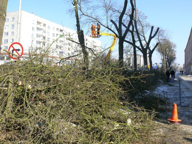 Przycinanie drzew przy ulicy Popiełuszki.