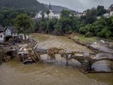 Katastrofalna powódź w Niemczech. "To było jak biblijny potop" - mówi mieszkaniec Zbigniew Kopczyński