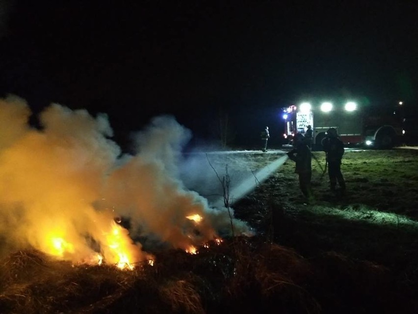 Region myślenicki. Strażacy gaszą płonące trawy i... załamują ręce, bo podpalacze mają w nosie ich apele