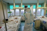 Koronawirus w Polsce: Poniżej 40 nowych zakażeń. Ostatniej doby nikt nie zmarł z powodu COVID-19