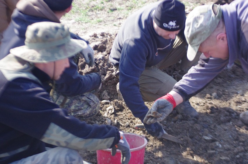 Niezwykłe znalezisko na zakończenie wykopalisk przez Grupę Eksploracyjno – Historyczną Wisła w Krzcinie. Co wykopano? 