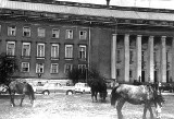 Konie w centrum Wrocławia. To były czasy [Z ARCHIWUM]