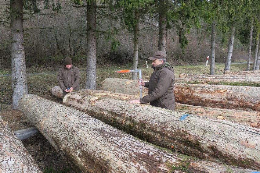 Zakończyła się XXI Submisja Drewna zorganizowana przez Regionalną Dyrekcję Lasów Państwowych w Krośnie. Sprzedano drewno za ponad 3 mln zł