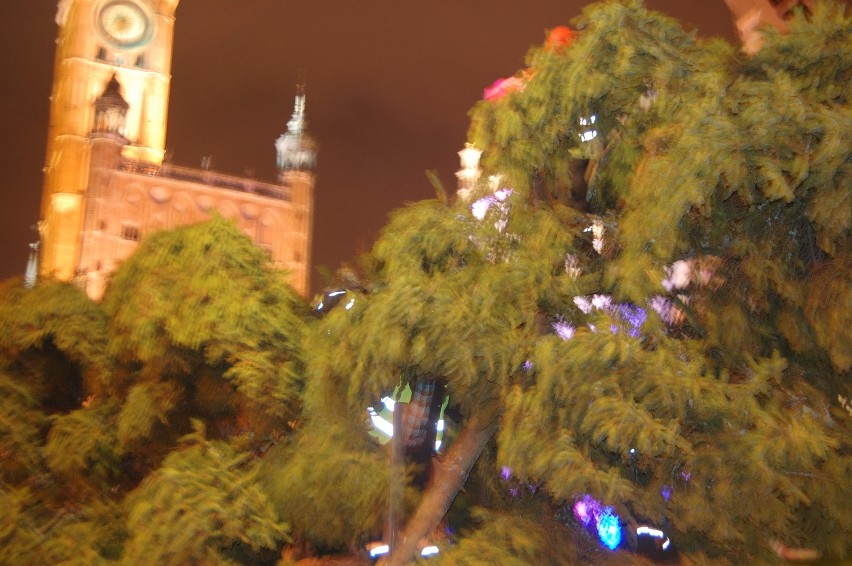 Ustawianie bożonarodzeniowego drzewka na gdańskim Długim...