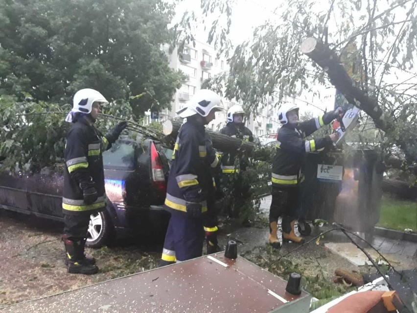 Potężna burza nad północnym Podkarpaciem. Zobacz jakie poczyniła zniszczenia [ZDJĘCIA]