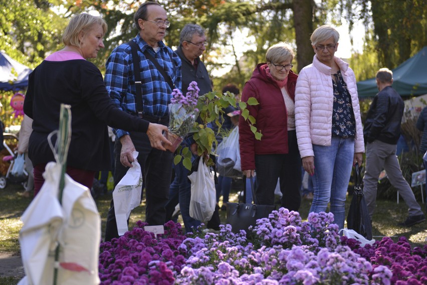 W Słupsku trwają Targi Ogrodnicze Jesień 2018 (zdjęcia)